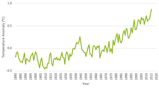 A chart showing the change in global surface temperatures since 1880.