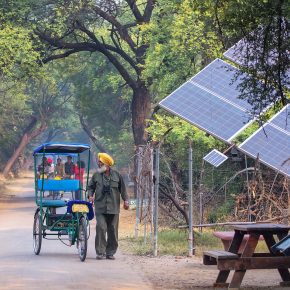 A photo showing a solar panel in India's Keoladeo Ghana National Park in Bharatpur, Rajasthan.