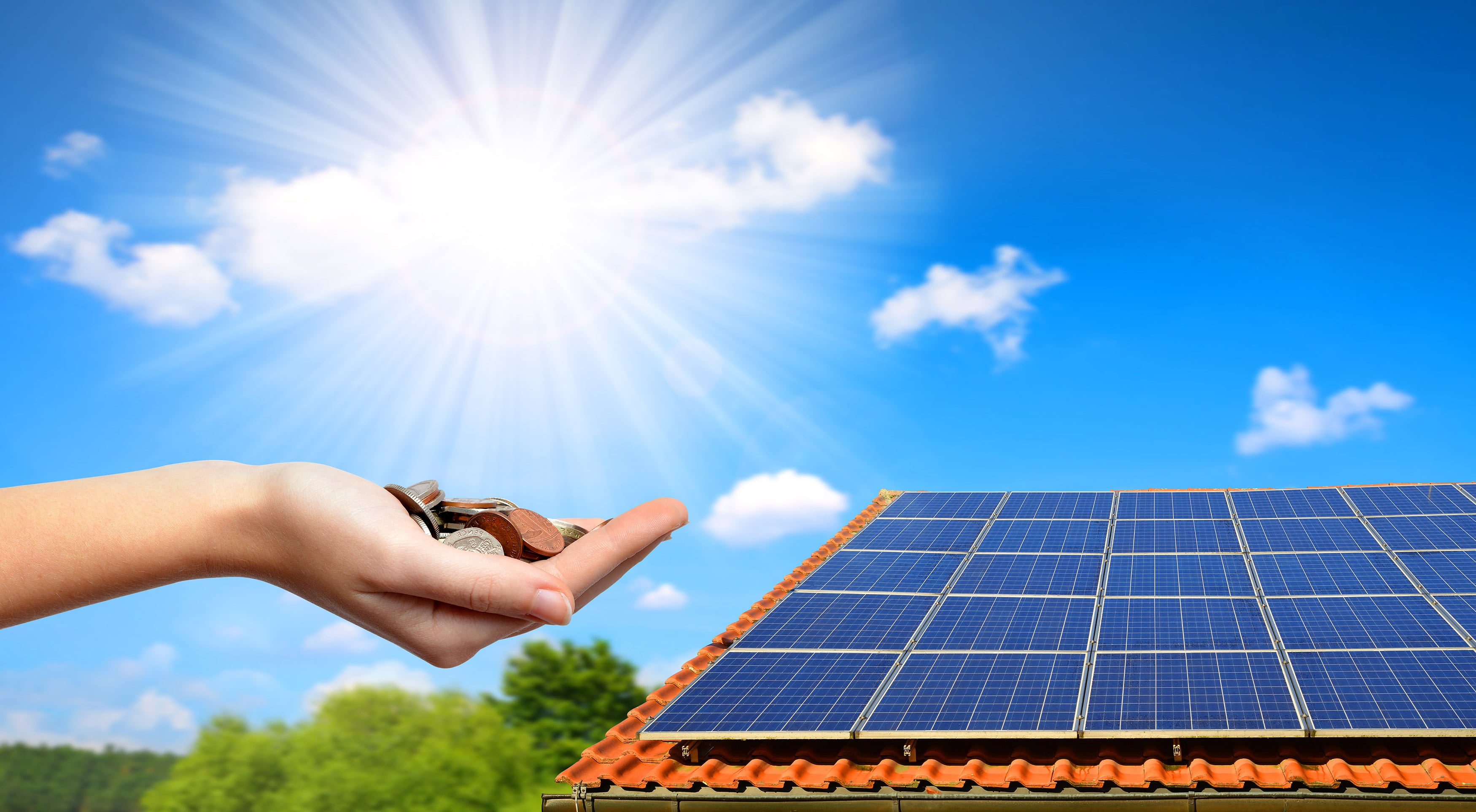 Solar Panels Installers