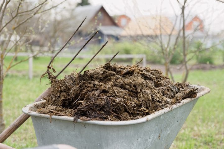 Animal waste that can be used as biomass.