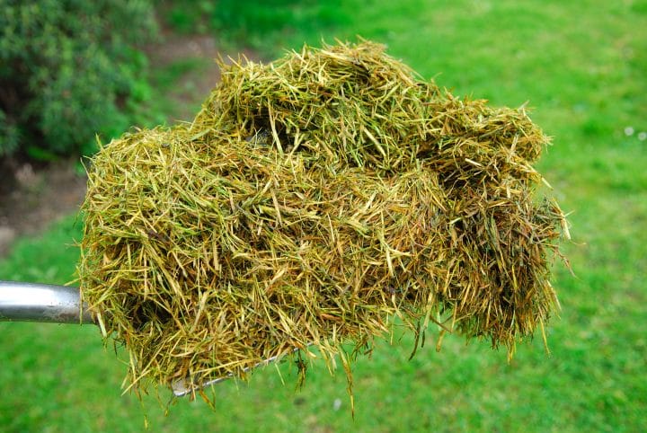 Grass clippings are an example of biomass.