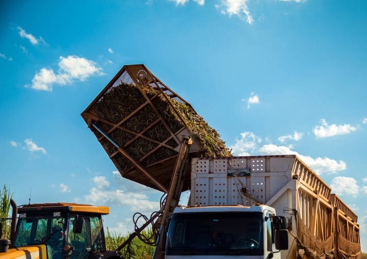 Sugarcane harvest to be used in biomass energy production