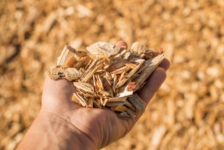 Wood chips used in biomass power plants.