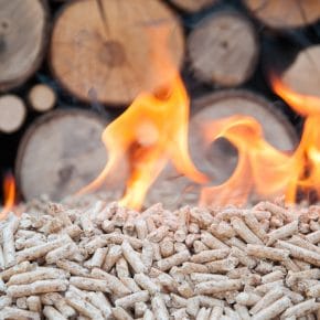 Logs and wood chips are a renewable form of biomass.