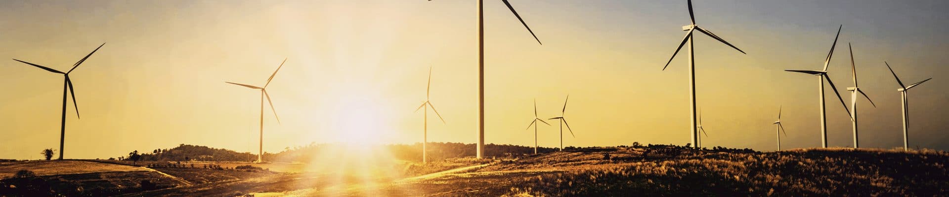 Renewable energy technologies.