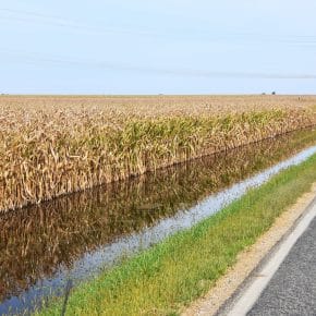 Biomass and water quality.