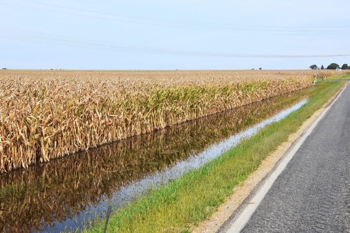 Biomass and water quality.